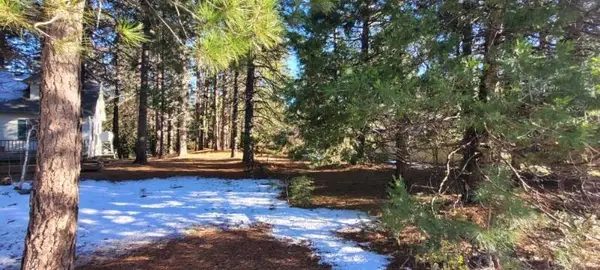 #000 Holiday Road, Mount Shasta, CA 96067
