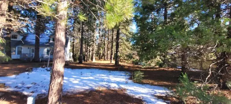 #000 Holiday Road, Mount Shasta, CA 96067 - #2