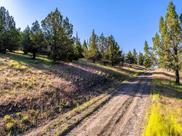 737 Raccoon Lane, Alturas, CA 96101
