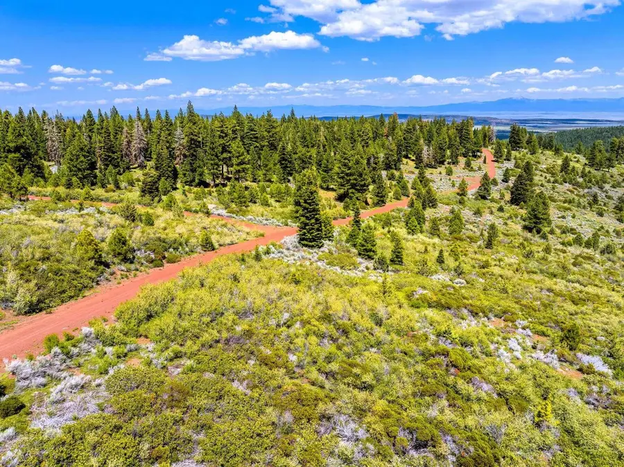 9653 Sportsman Drive, Alturas, CA 96101 - #3