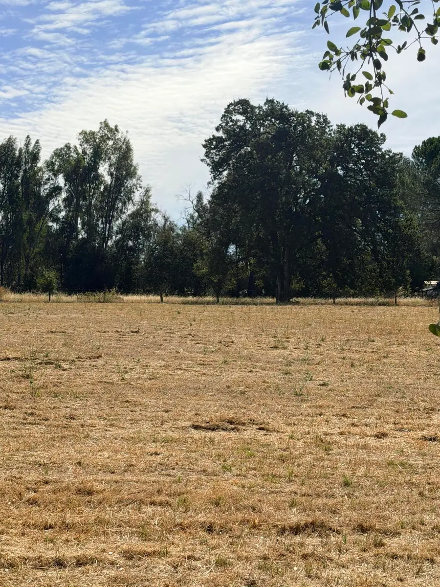 Deschutes Road, Palo Cedro, CA 96073 - #3