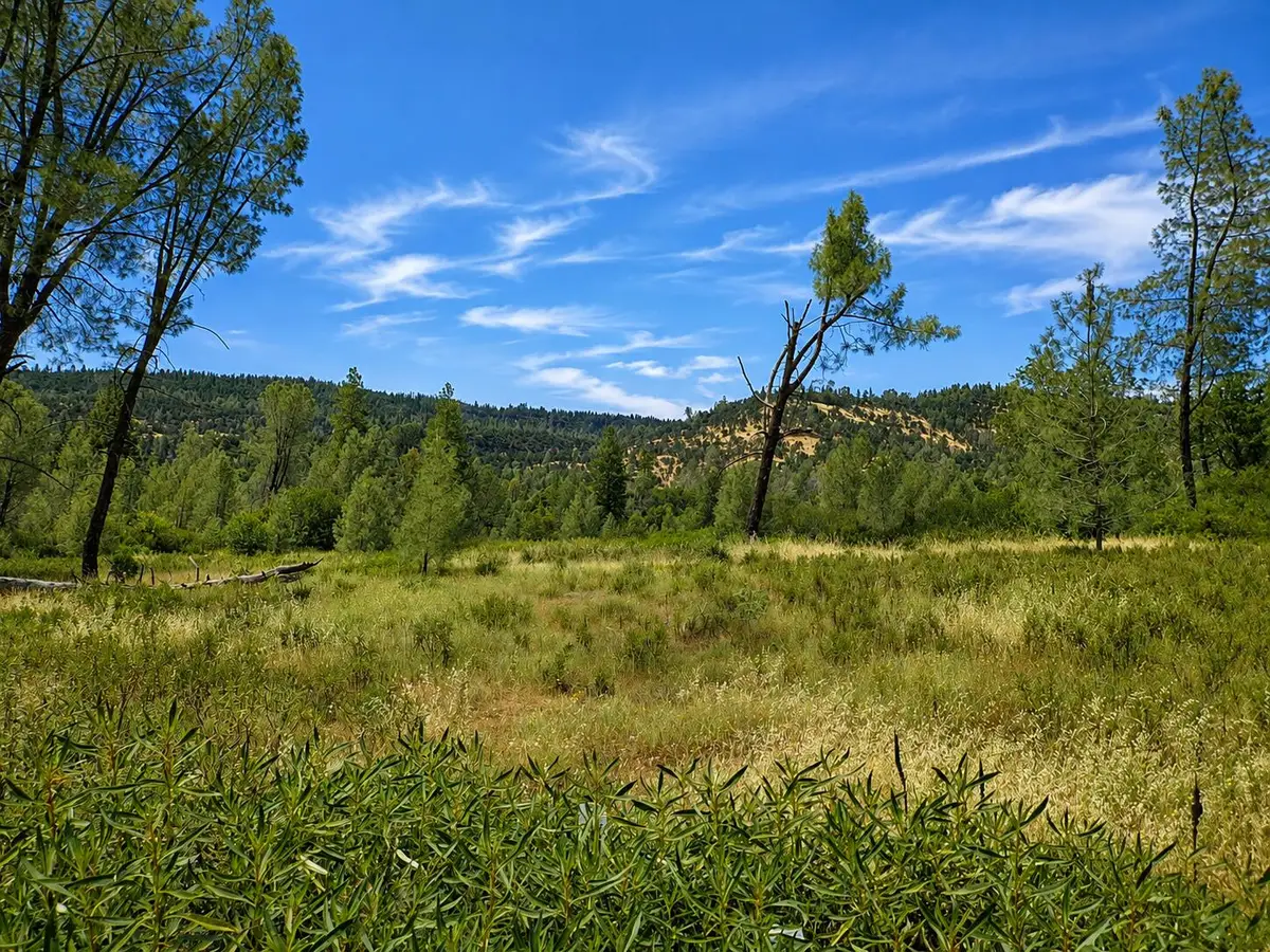 Battle View Drive, Manton, CA 96059 - #1