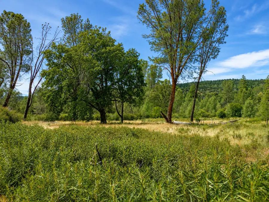 Battle View Drive, Manton, CA 96059 - #2