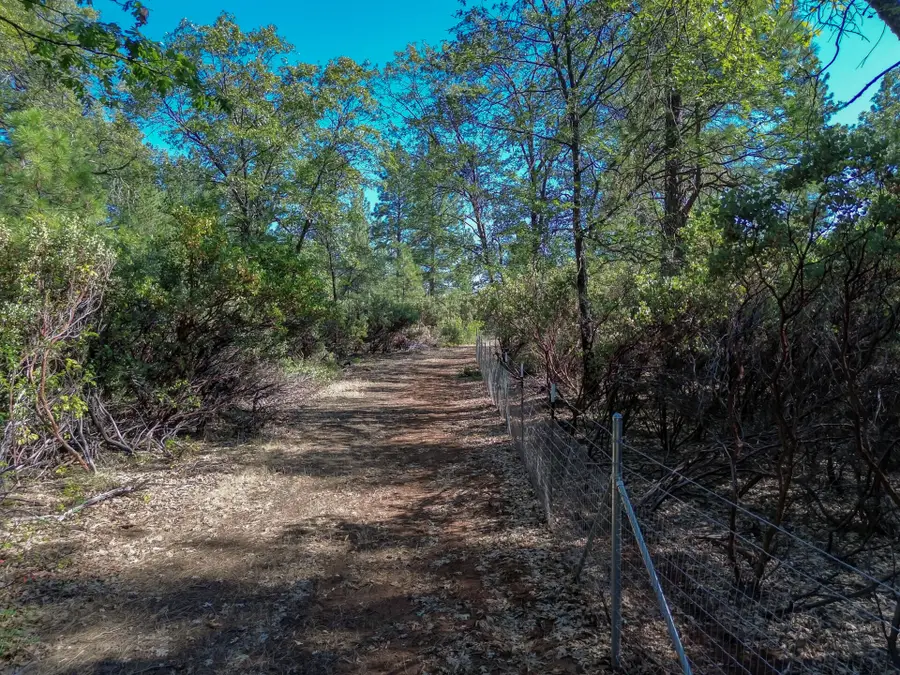 9999 Ogburn Inwood Cemetery Road, Shingletown, CA 96088 - #3