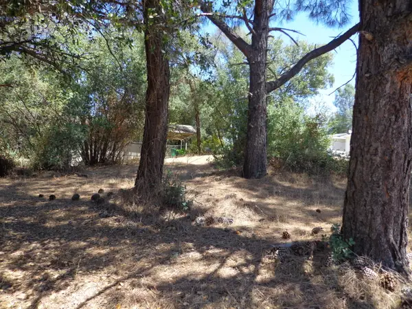 Elizabeth Street, Shasta Lake, CA 96019