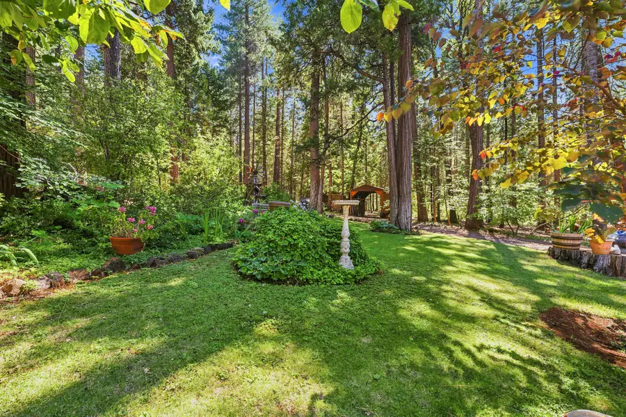 7141 Goose Chase Road, Shingletown, CA 96088 - #2