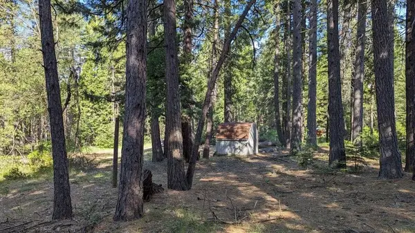 7693 Linda Road, Shingletown, CA 96088
