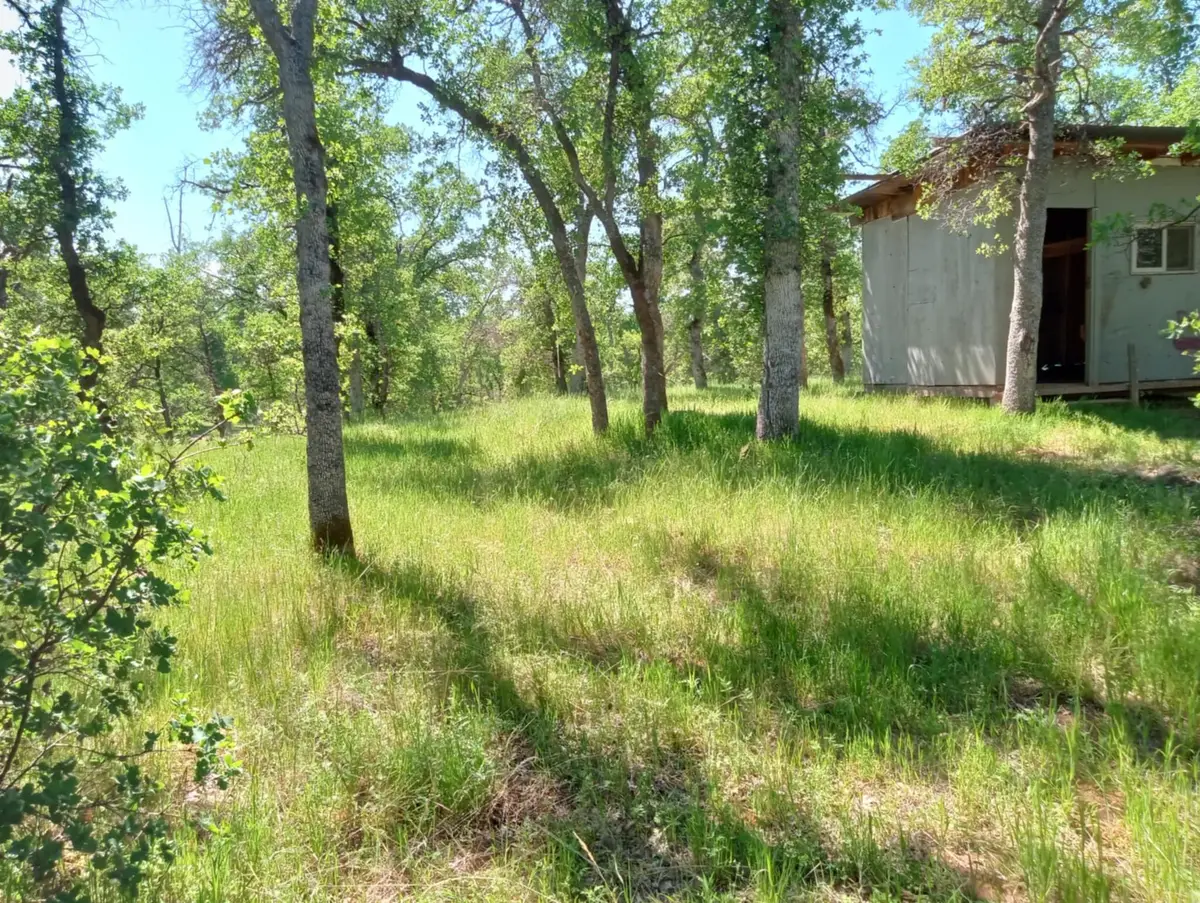 10 Acres Two Feathers Road, Cottonwood, CA 96022 - #1