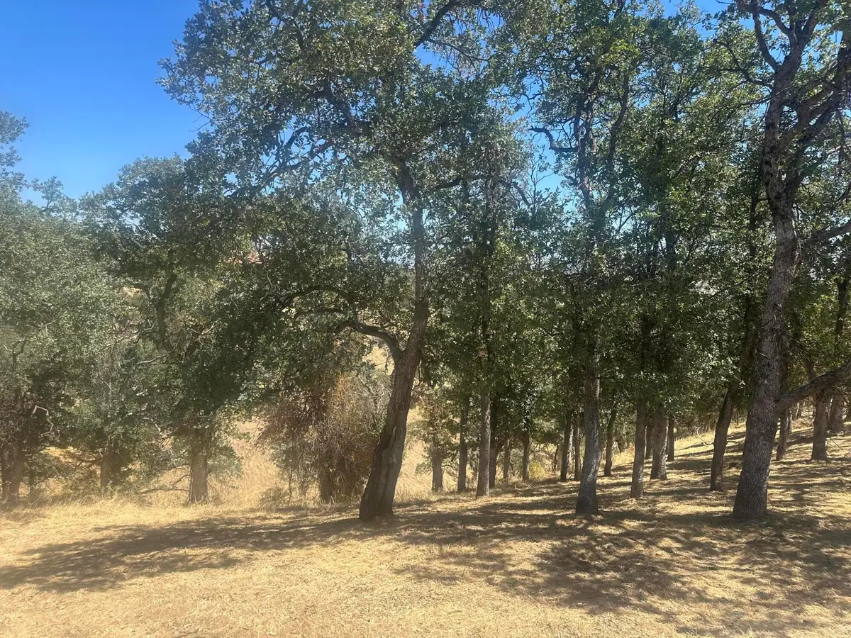 19432 Little Valley Drive, Cottonwood, CA 96022 - #1
