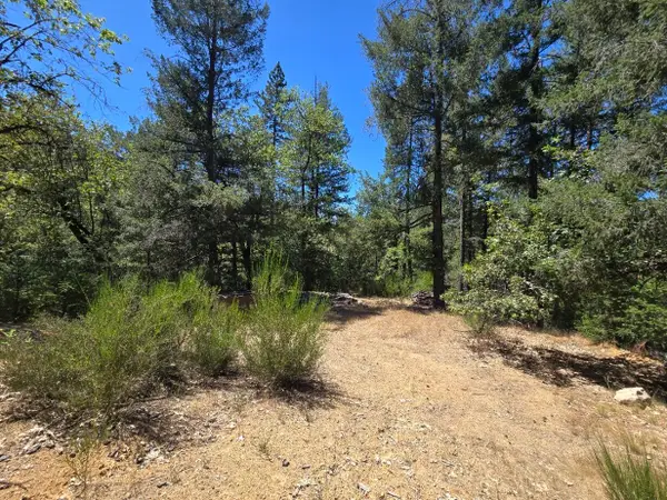 Roaring Brook Way, Lakehead, CA 96051