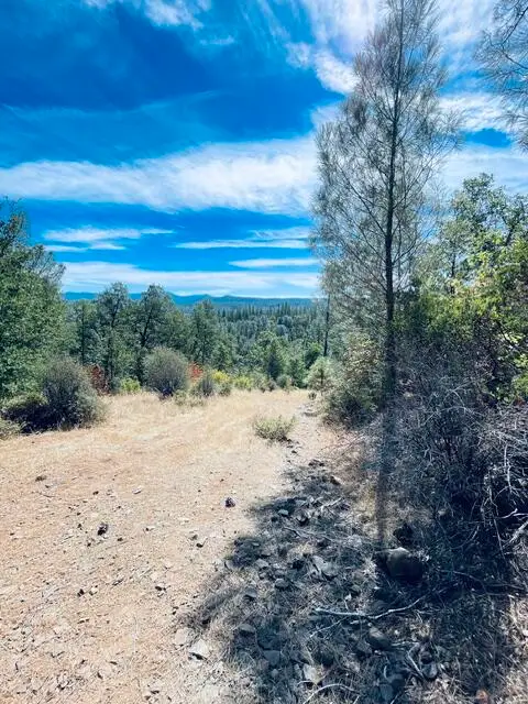 001 Oak Run Road, Oak Run, CA 96069 - #1
