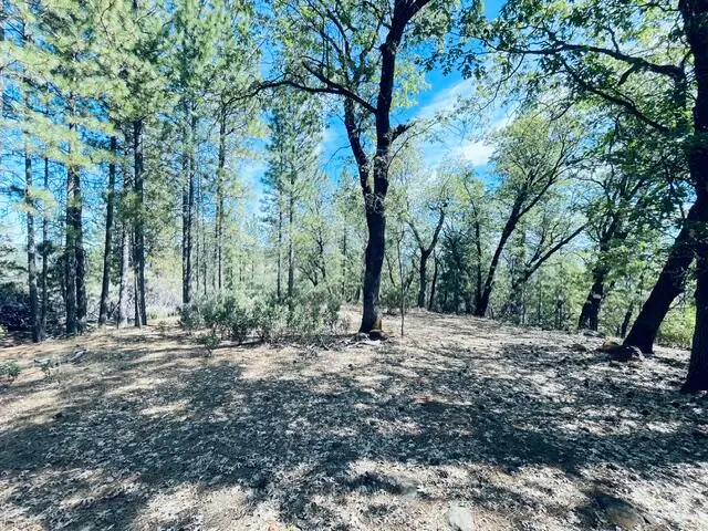 001 Oak Run Road, Oak Run, CA 96069 - #3