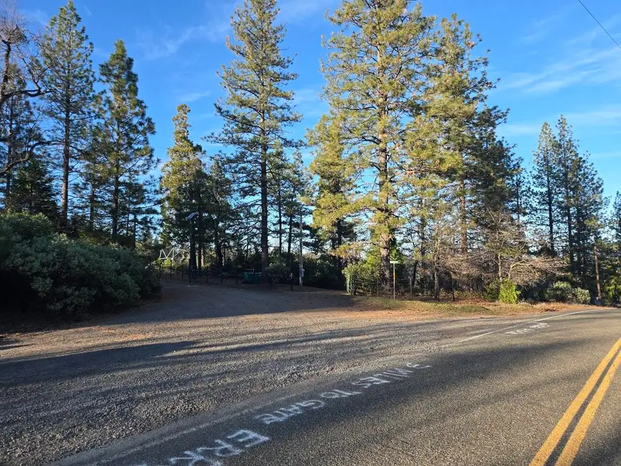 Donkey Mine Road, Oak Run, CA 96069 - #2