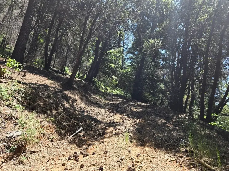 Fenders Ferry Road, Round Mountain, CA 96084 - #2