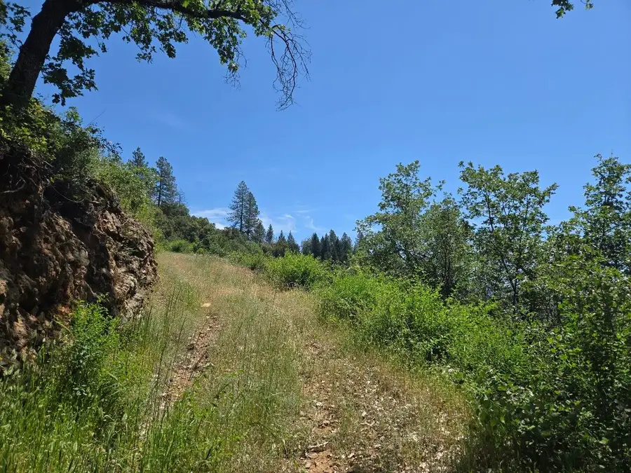 Fenders Ferry Road, Round Mountain, CA 96084 - #3