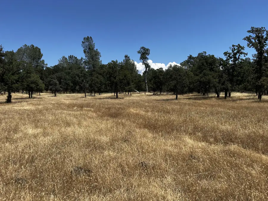 Wilson Hill Road, Manton, CA 96059 - #2