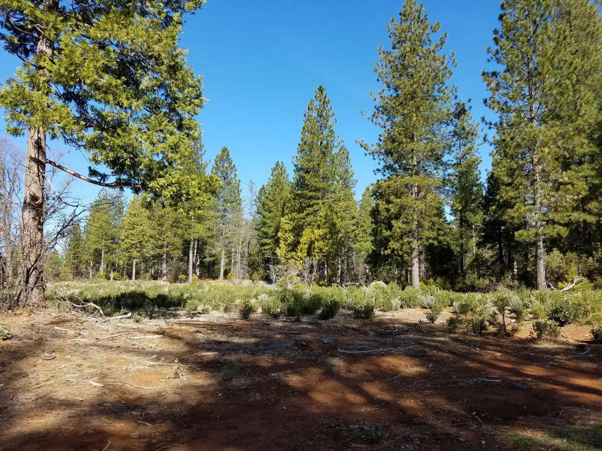 Lot 32 Shingle Glen Trail, Shingletown, CA 96088 - #1