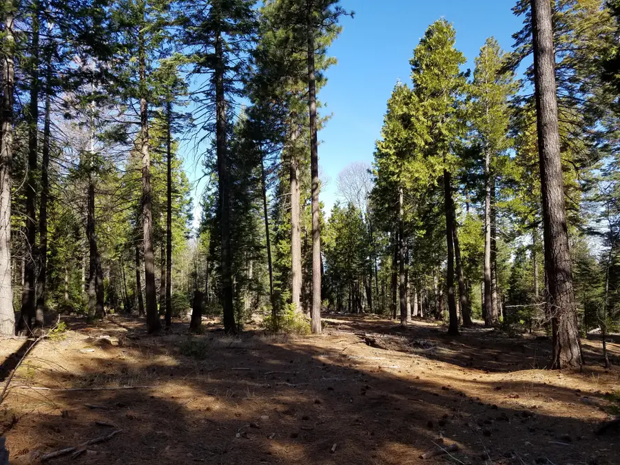 Lot 32 Shingle Glen Trail, Shingletown, CA 96088 - #2