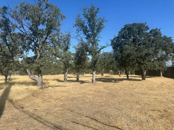 22554 River View Drive, Cottonwood, CA 96022
