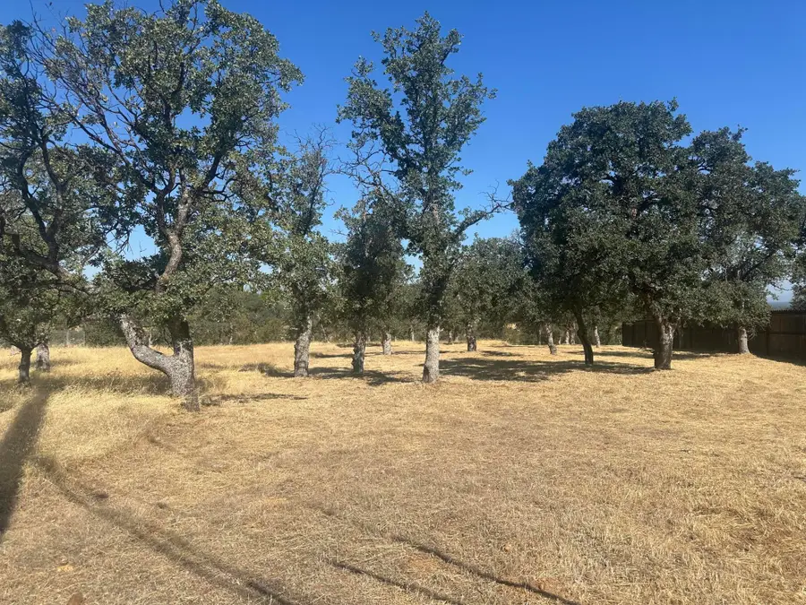 22554 River View Drive, Cottonwood, CA 96022 - #2