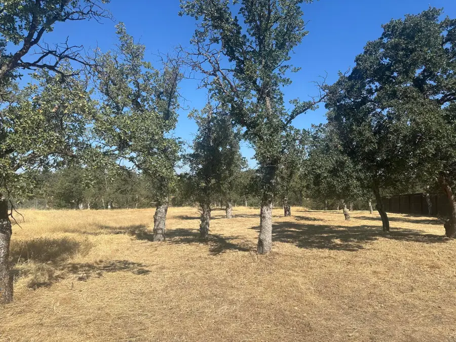 22554 River View Drive, Cottonwood, CA 96022 - #3