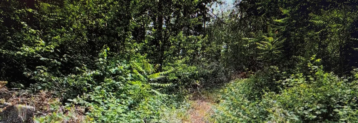 Hirz Bay/waterman Road, Lakehead, CA 96051 - #1