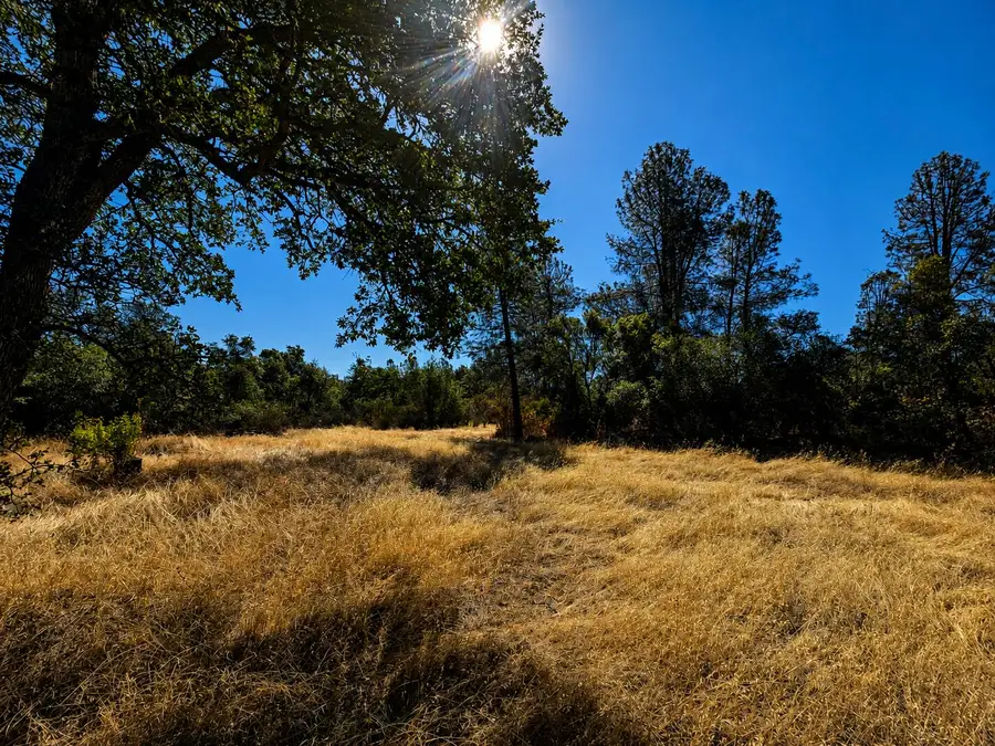 27010 Lack Creek Drive, Shingletown, CA 96088 - #2