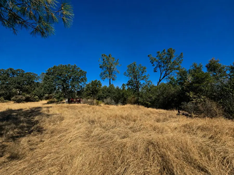 27010 Lack Creek Drive, Shingletown, CA 96088 - #3
