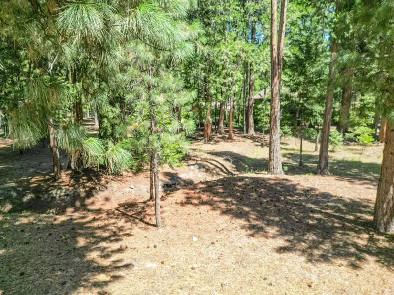 0000 Timber Hills Road, Mount Shasta, CA 96067 - #2