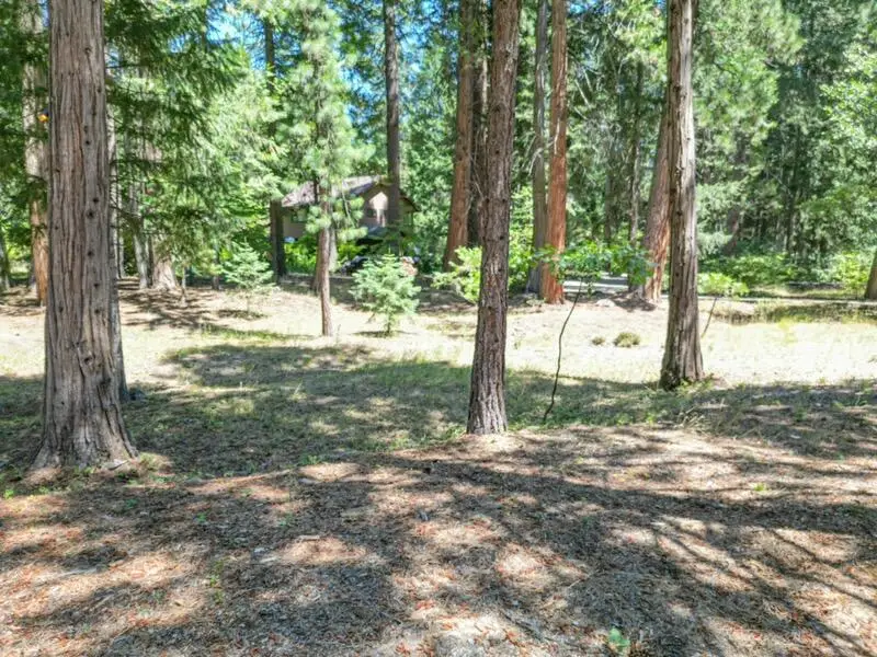 0000 Timber Hills Road, Mount Shasta, CA 96067 - #3