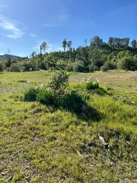 10266 White Star Road, Redding, CA 96001 - #3