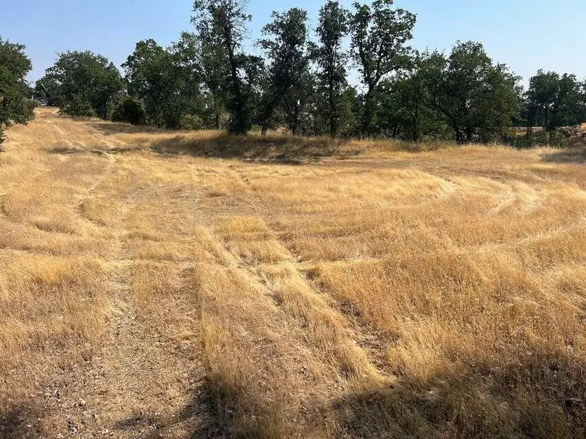 171252 Quail Ridge Road, Cottonwood, CA 96022 - #2
