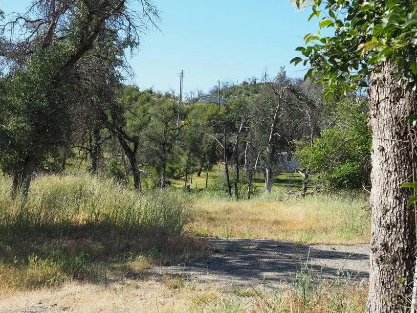 20103 Parocast Road, Redding, CA 96003 - #1