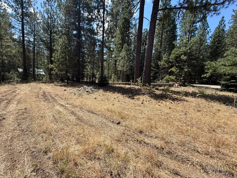 0 Sugar Loaf Lane, Old Station, CA 96071 - #3