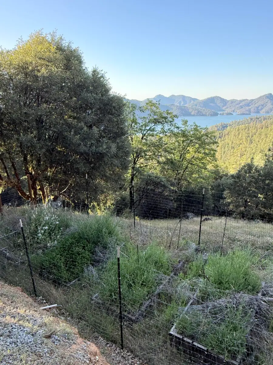 18225 Skyline Drive, Lakehead, CA 96051 - #3