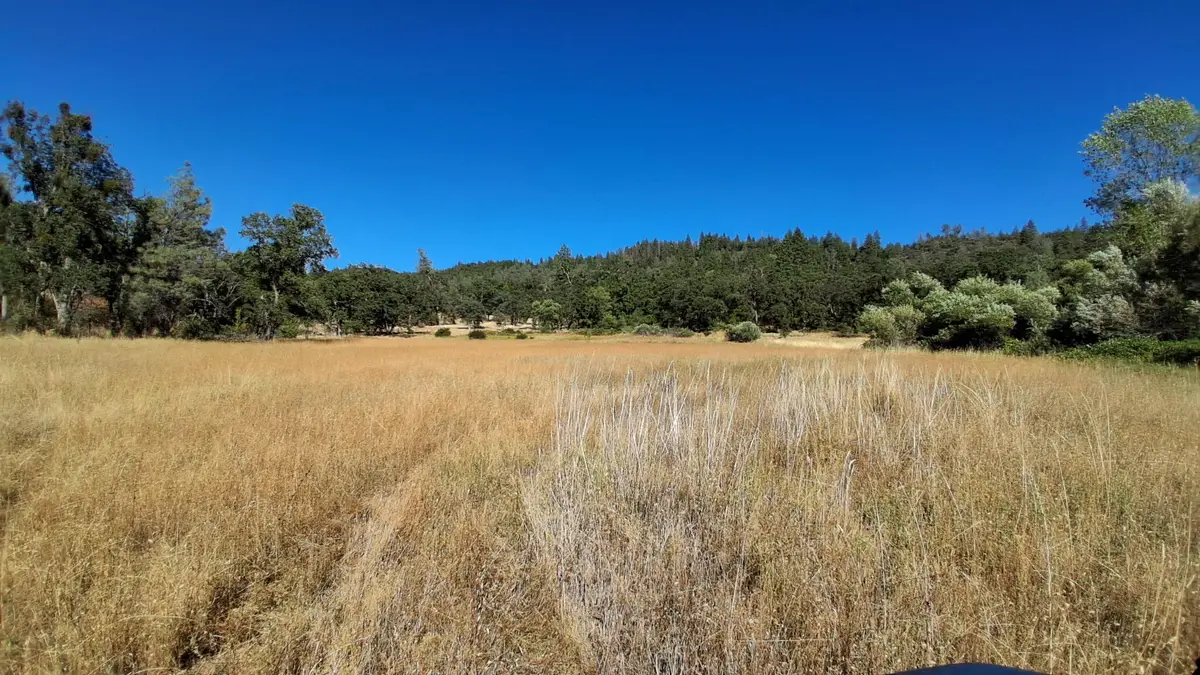 739 Acres Shingletown Ridge, Shingletown, CA 96088 - #1