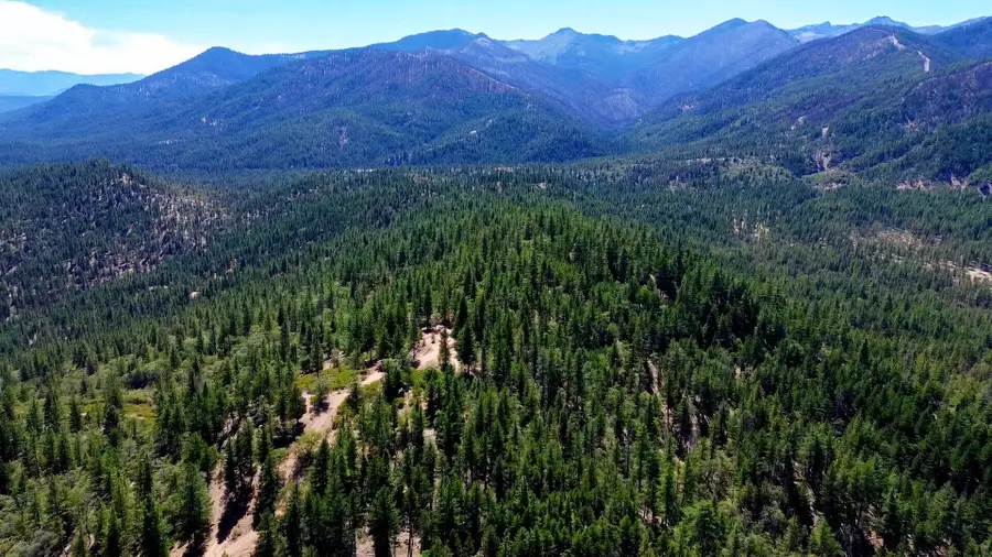 S Kidder Creek Road, Greenview, CA 96037 - #2