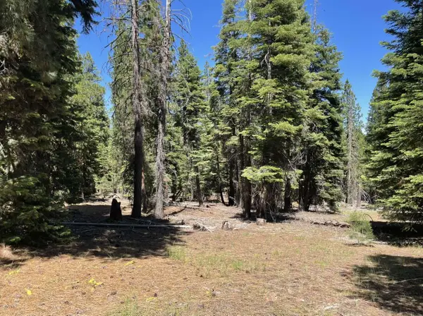 0 Range Road, Alturas, CA 96101