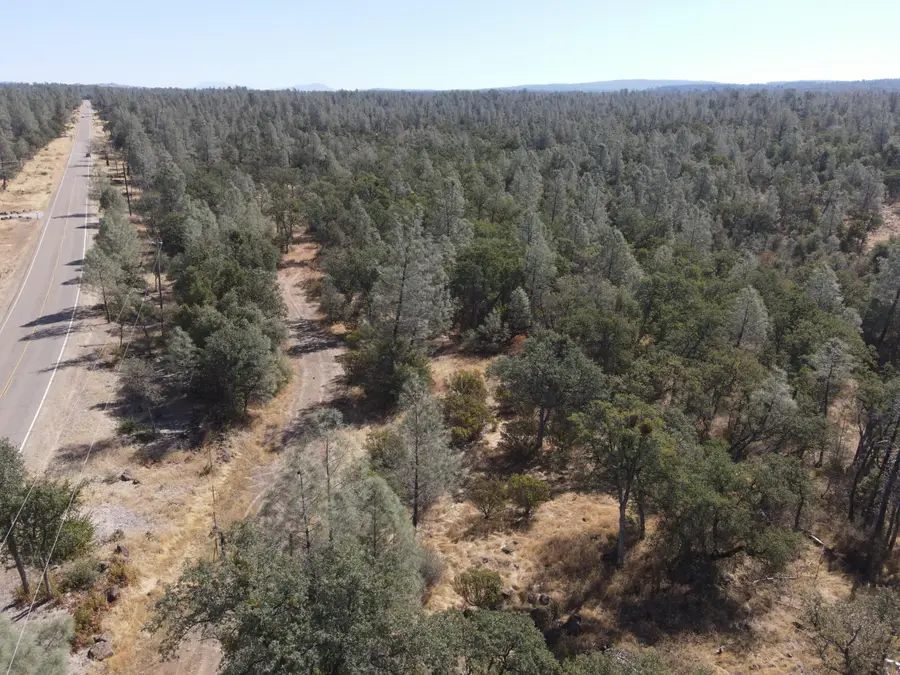 NSA Dersch Road, Shingletown, CA 96088 - #2