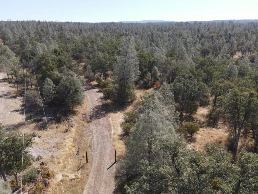 NSA Dersch Road, Shingletown, CA 96088 - #3