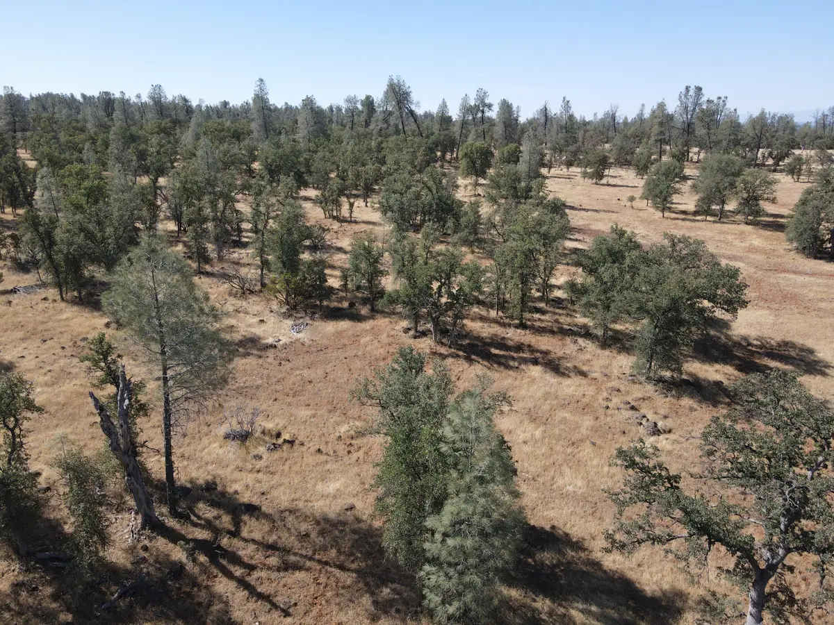 Hyrax Dr, Anderson, CA 96007 - #1