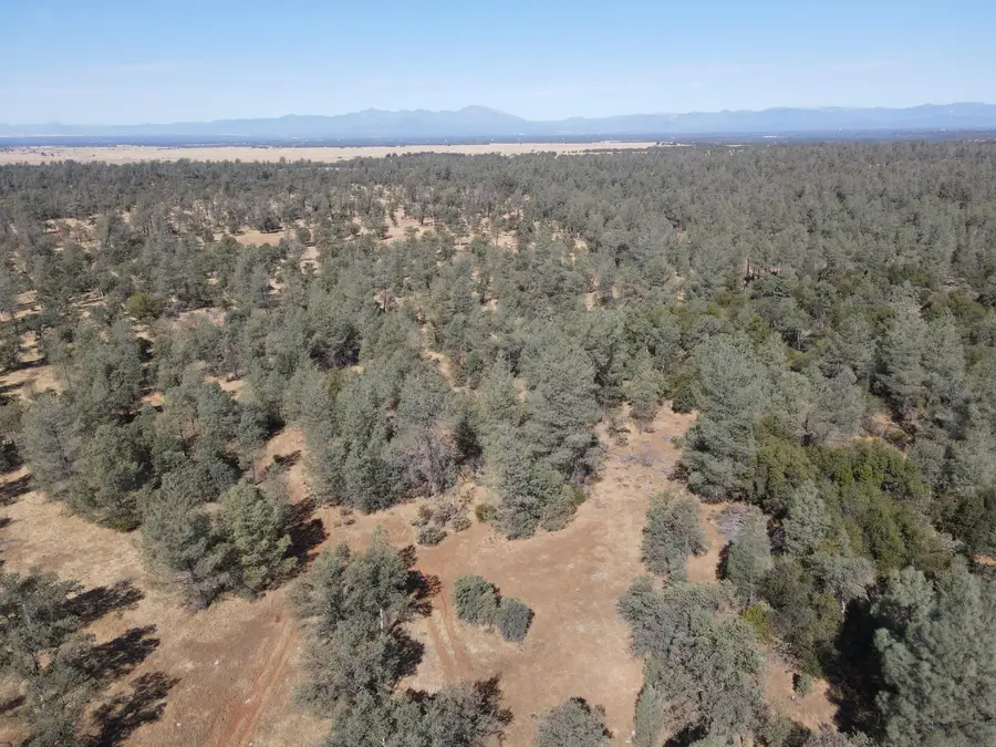 Hyrax Dr, Anderson, CA 96007 - #3