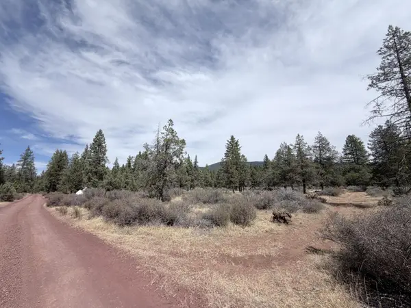 Spencer Lane Day Road Road, McArthur, CA 96056