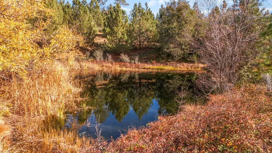 5750 Woodcutters Way, Manton, CA 96059 - #3