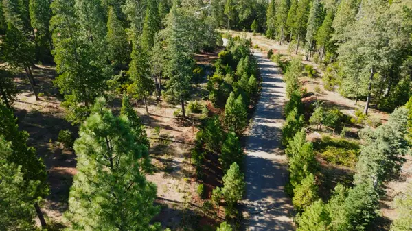 000 Waterleaf Lane, Shingletown, CA 96088