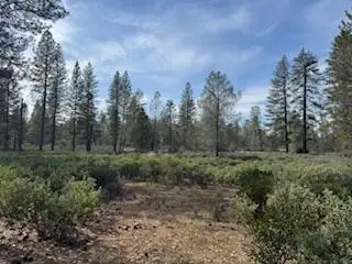 011 Whitmore Village Rd., Whitmore, CA 96096 - #1