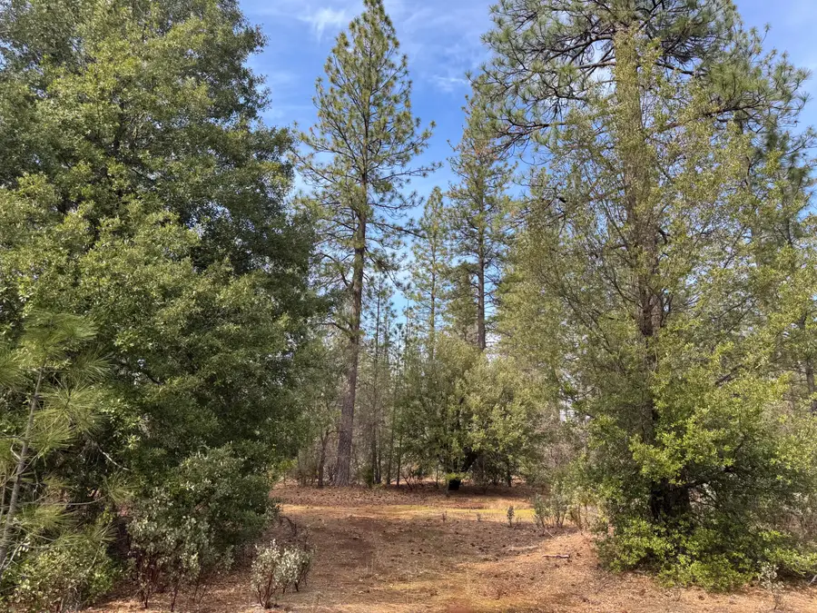 011 Whitmore Village Rd., Whitmore, CA 96096 - #2