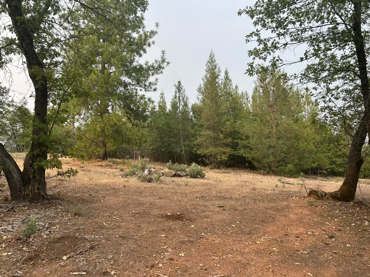 Sugar Pine Camp Road, Bella Vista, CA 96008 - #1