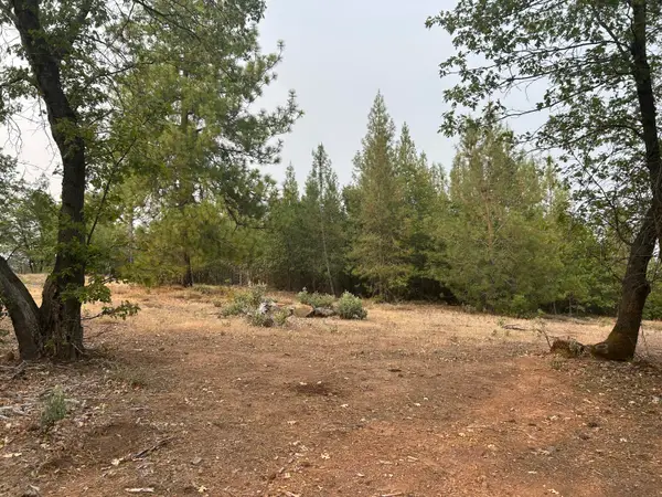 Sugar Pine Camp Road, Bella Vista, CA 96008