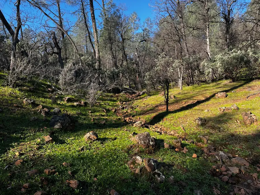 Troy Hills Drive, Bella Vista, CA 96008 - #2